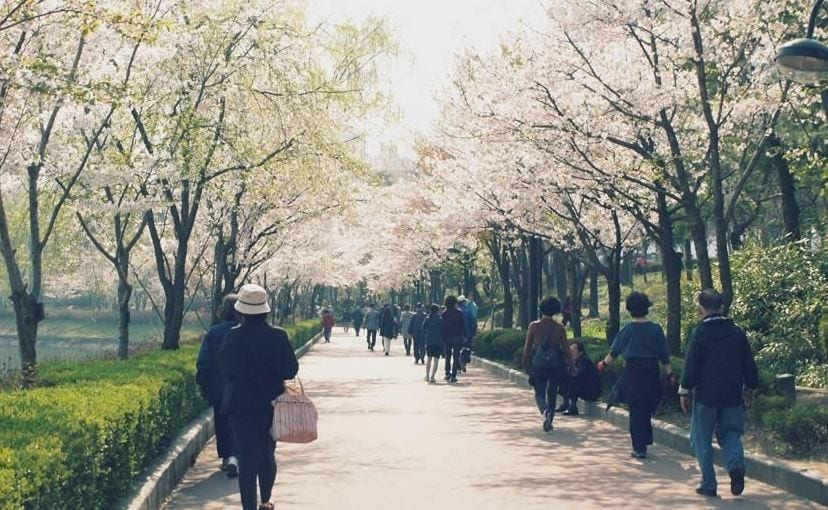 Seokchon