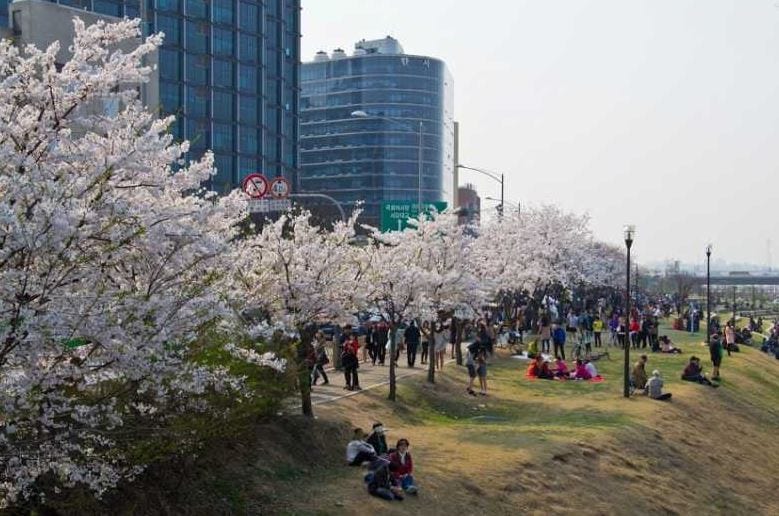 Yeouido