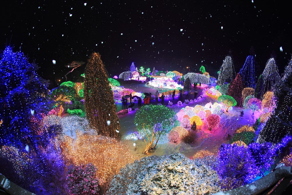 Light Festival (1)