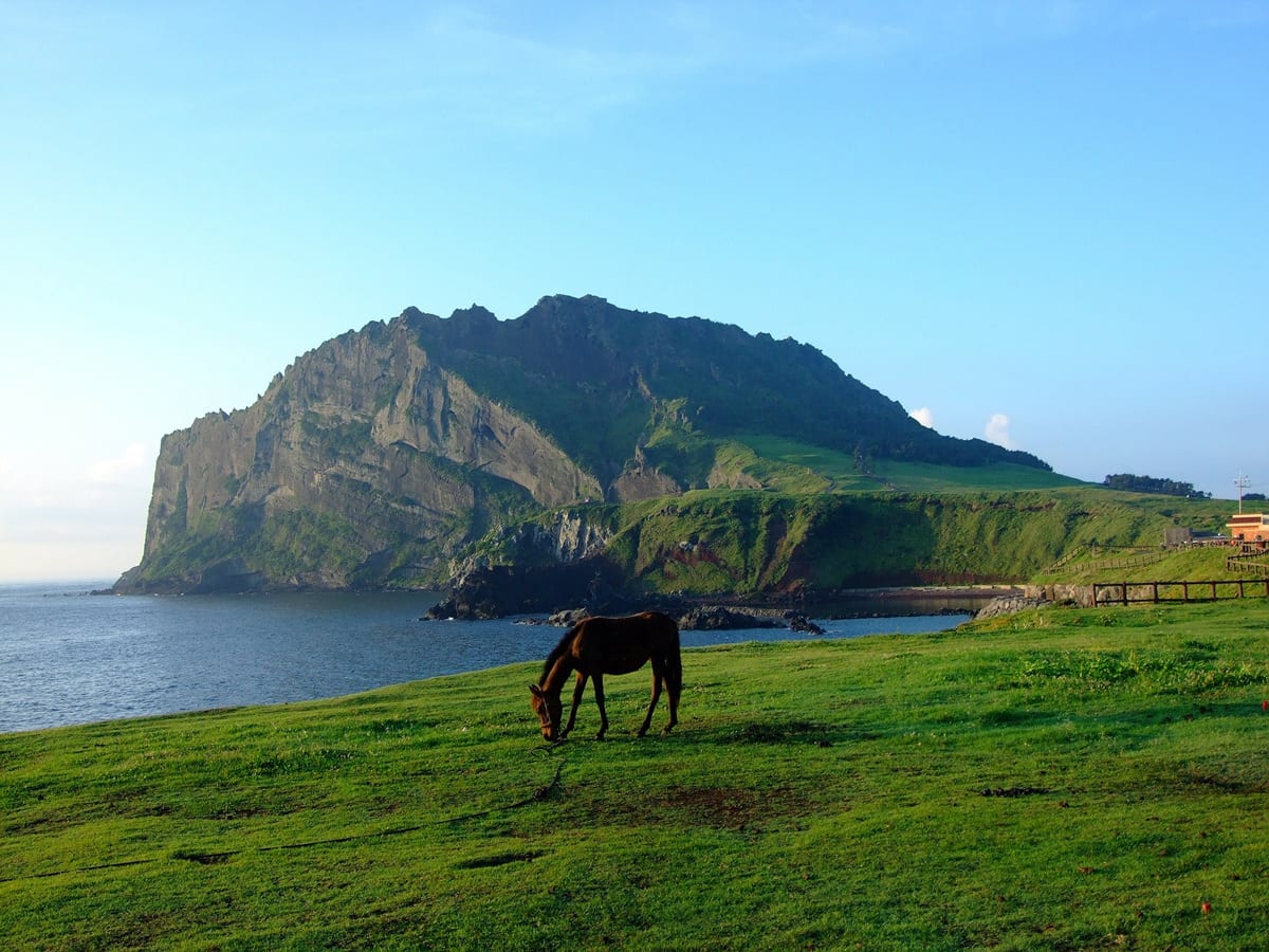 Jeju Island (1)