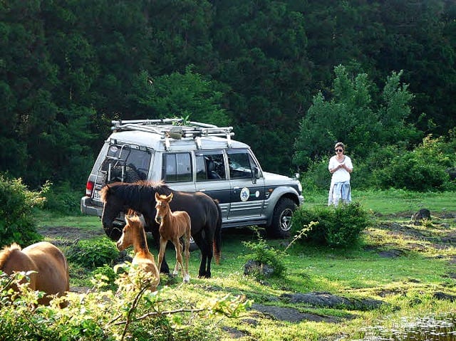 Off-Road Drive (1)