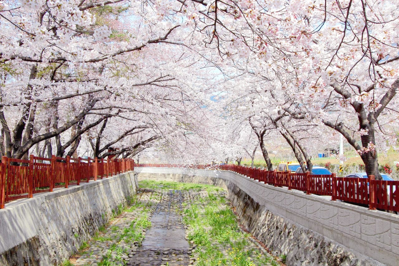 Jinhae (3)