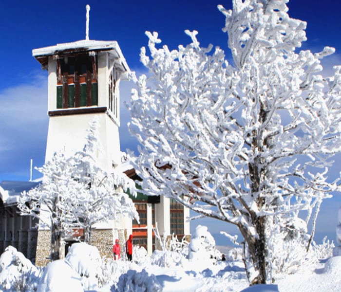 yongpyong-ski-resort-2