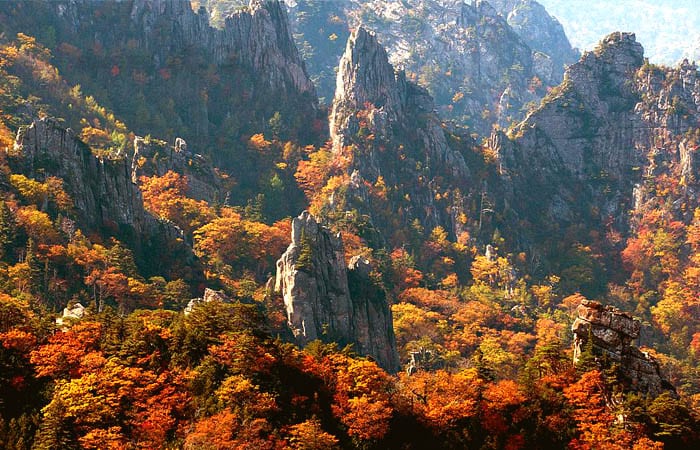 [Wanderlust] Korea Fall Foliage Guide: Where to Go & When to See ...